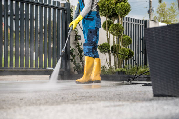 Best Roof Pressure Washing  in Paia, HI