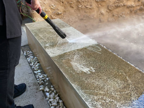 Best Garage Pressure Washing  in Paia, HI