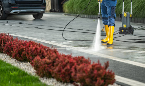 Best Concrete Pressure Washing  in Paia, HI